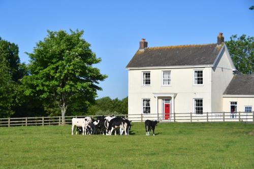 Llangynin Bed & Breakfast | Glascoed Farmhouse