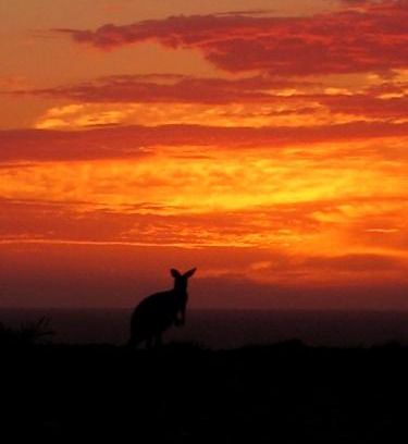Macleod Resort | Gnaraloo Station - Homestead