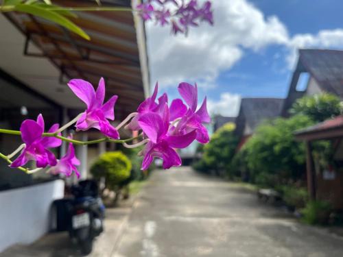 Downtown Krabi Hotel | Go Gear Travel & Bungalow