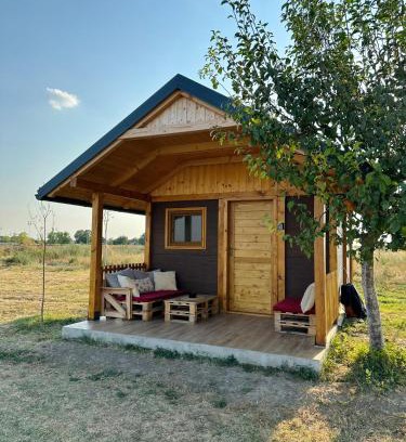Stari Banovci Bed & Breakfast | Golden Carp Lake