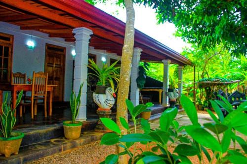 Dambulla Hotel | Golden Eco Ayur Villa