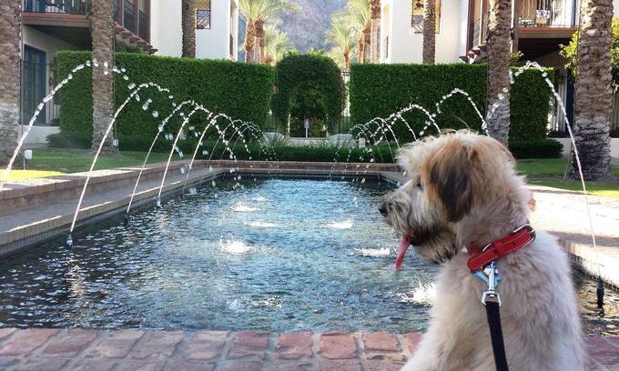 La Quinta Villa | GORGEOUS LUXURY VILLA - UPSTAIRS UNIT & PRIME LOCATION;