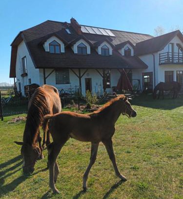 gmina Rossosz Apartment | Gospodarstwo Agroturystyczne Bogdanówka