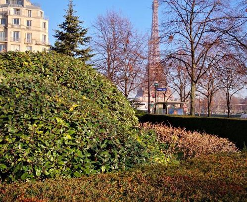 16th Arrondissement Apartment | Grand Studio près de Tour Eiffel sur quai de Seine