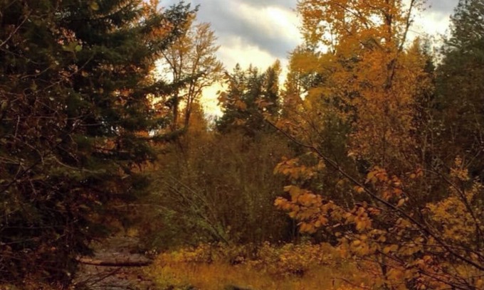 Missoula Cabin | Grant Creek Lodge-Family, Friends and Retreats