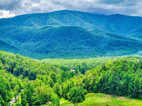 Cosby House | Grants Cottage, Pickleball Court, Creek, WIFI, Mountain Views, Starting at 79"