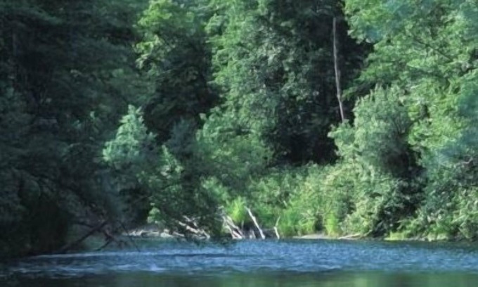 Douglas City House | Great Trinity River Fishing at 3 Bed 2 Bath House, pets considered