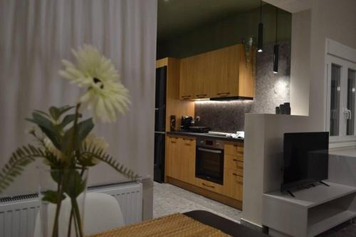 Karditsa Apartment | GREEN HOUSE