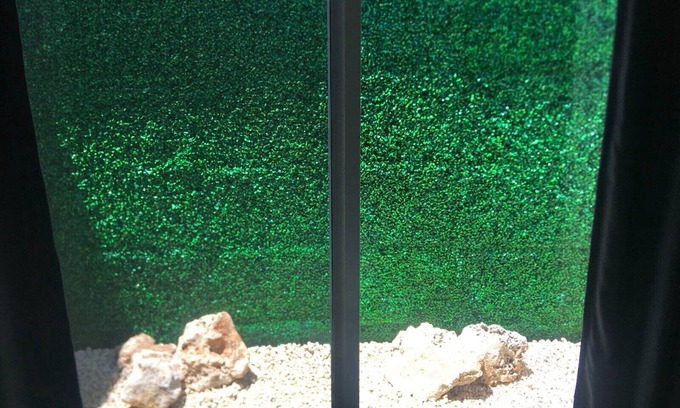 Downtown Cancun Apartment | Green Lofts