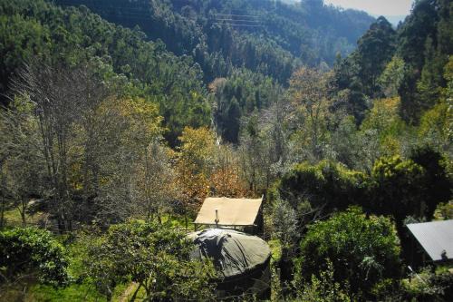 Penela Other | Green Man yurt