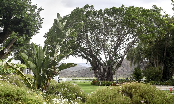 Langeberg House | Green Olive Guesthouse