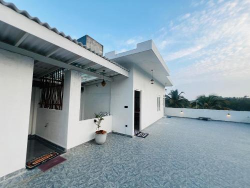 Wanchawala House | Green Paddy House