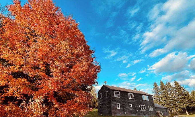 Rangeley House | Grey Wulff on Main - convenient to downtown Rangeley and Saddleback MTN!