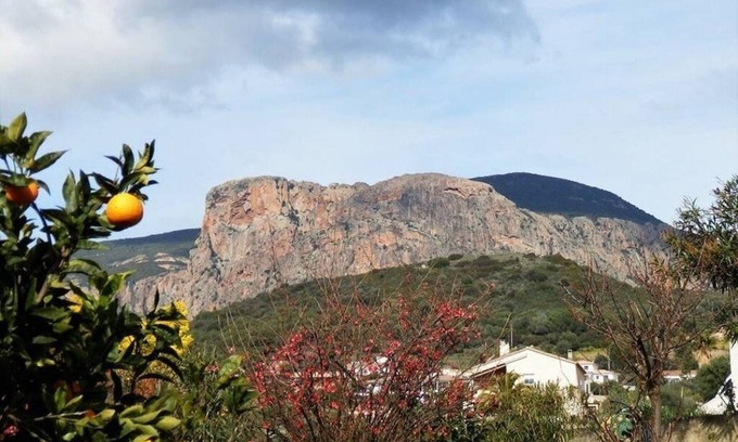 Afa Villa | Ground floor of villa-house, T3 apartment 10 min from Ajaccio