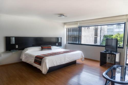 Miguel Hidalgo Apartment | Grupo Kings Suites -Platon 436