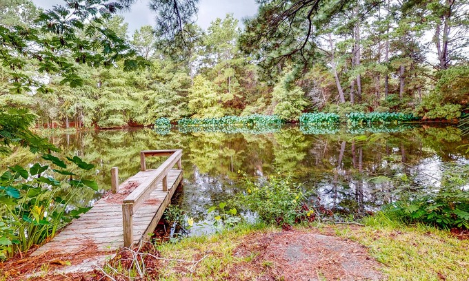 Bellville Cabin | Guest home on 14 acres - vineyards, pond & trails - newly updated kitchenette