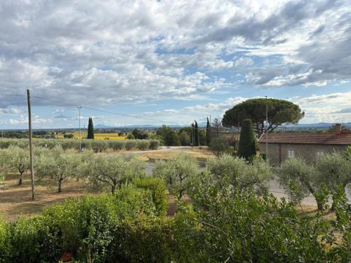 Montecchio House | Guest House Fiore di Loto