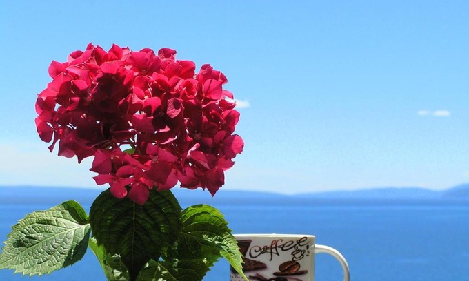 Volosko House | Guest House Lifestyle Holiday