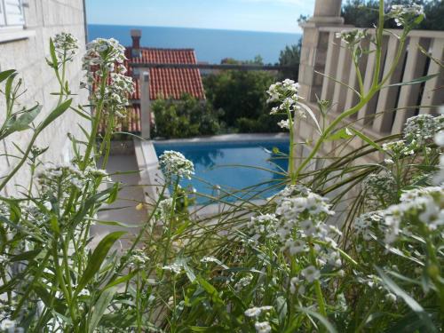 Gornji Kono House | Guesthouse Villa Klaic