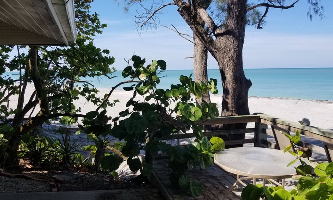 Englewood House | Gulf Front Home! 3+ ACRES! Property from Gulf to Bay!