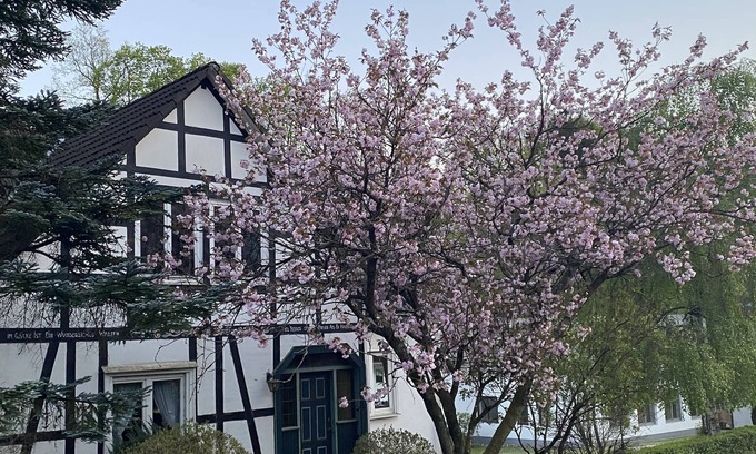 Kickenbach House | Gut Vasbach