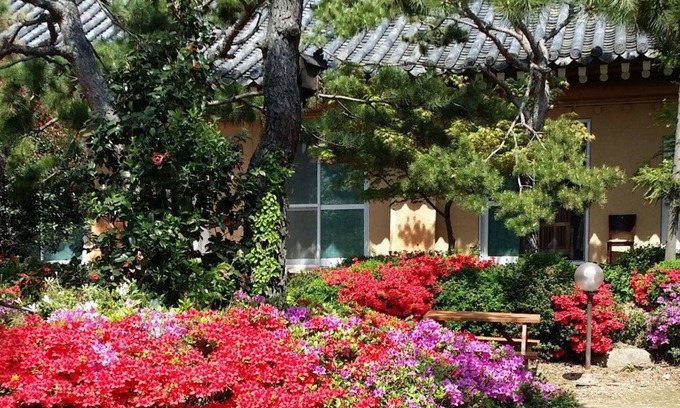 Gyeongju Condo | Gyeongju KB Pension