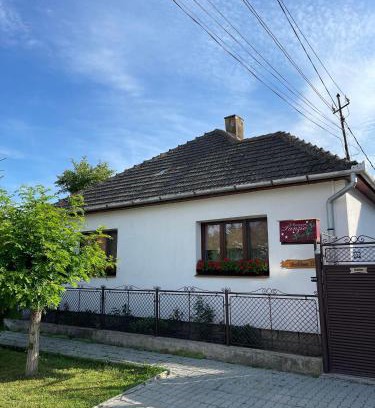 Sfantu Gheorghe House | Gyongyver Panzio