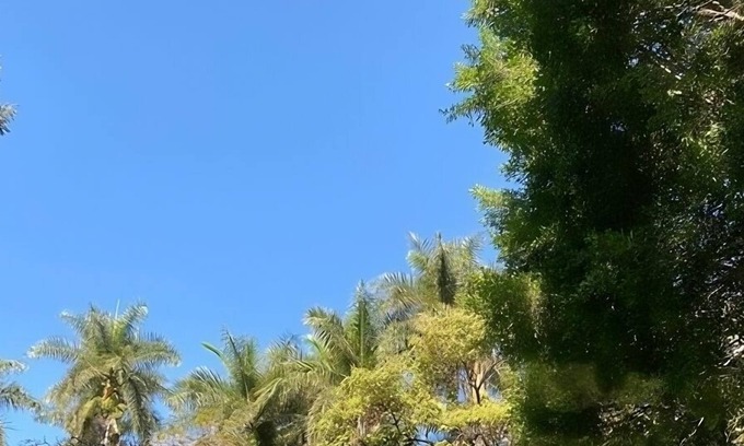 Yautepec Hotel | Hacienda de Teresa
