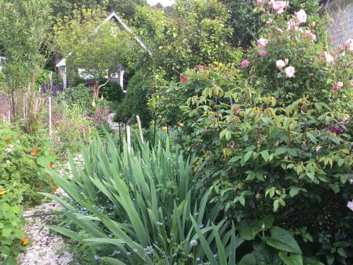 Hahei Apartment | Hahei Kereru Cottage