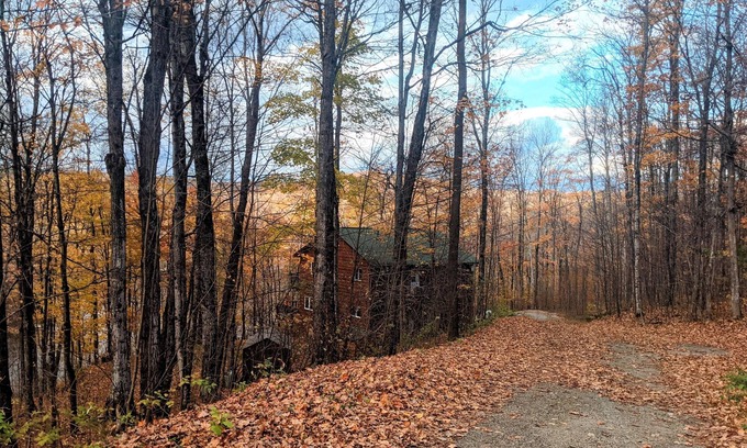Eagle Lake Cottage | Haliburton Highlands Cottage Retreat - Your Summer Getaway Imagined!