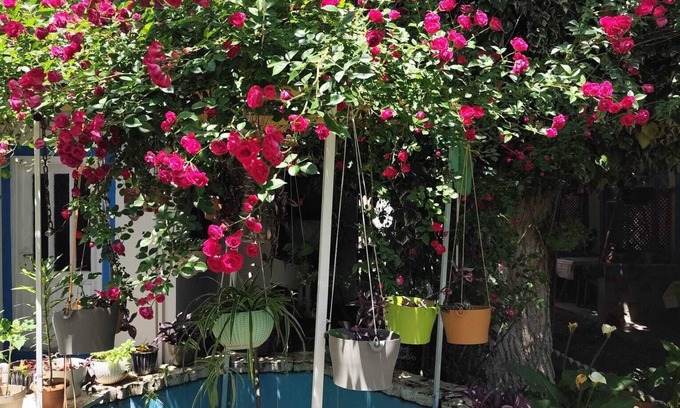 Akcay House | HANCI PANSİYON
