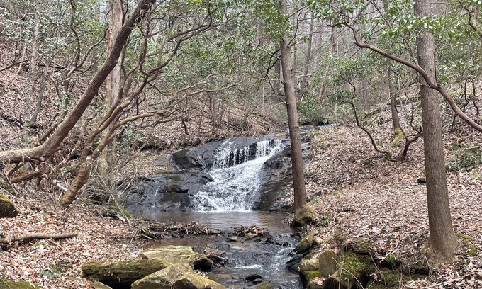 Dahlonega Cabin | Handicapped Friendly in Dahlonega