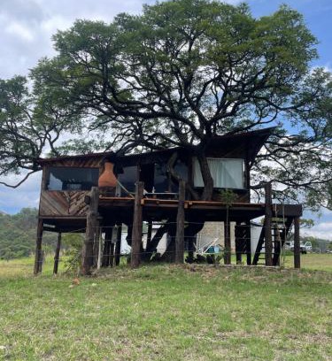 Temascaltepec de Gonzalez Other | Hangar 5 La Casita del Arbol