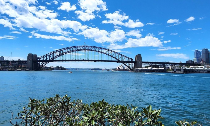 McMahons Point Apartment | Harbourside Escape: Sunlit Outdoor Terrace & Harbour Views