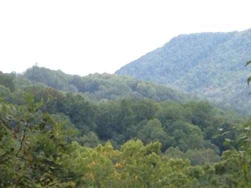 Maggie Valley House | Harley Haven