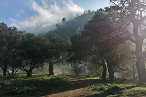 Pauma Valley Other | Harrison Serenity Ranch Bunk House