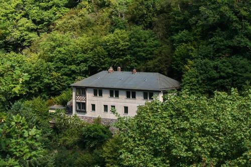 Bad Bertrich House | Haus am Berg