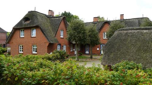 Nieblum Apartment | Haus Bornholm Whg 23