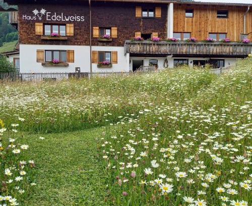 Bad Hindelang Apartment | Haus Edelweiß