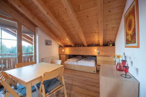 Hochkrimml Apartment | Haus Filzstein 145 Top 25