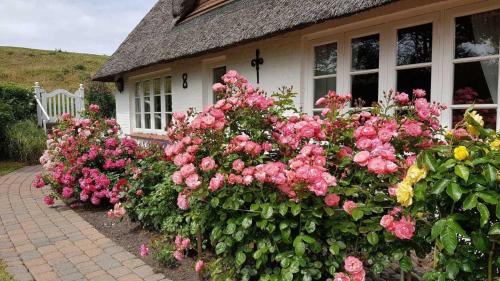 Poppenbull House | Haus Husen ID 430