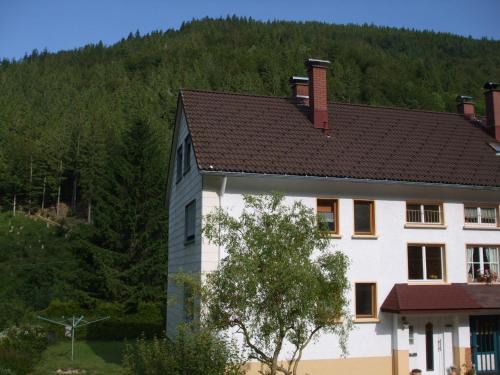 Brandenberg-Fahl Apartment | Haus Post OG-Wohnung