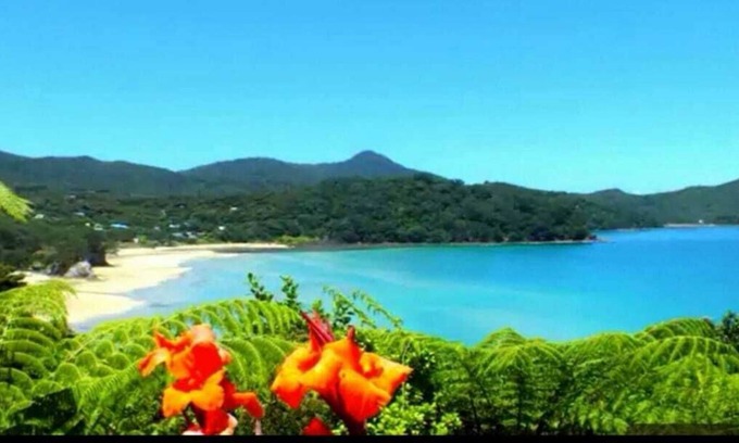 Tryphena Cottage | Hawaiki cottage - Fantasy Island