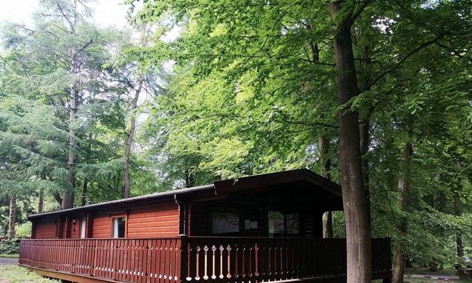 Kenwick Cabin | Hawthorn Lodge - Woodland Lodge with hot tub