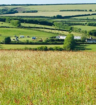 Twitchen Other | Headgate Farm Camp Site - Pitches Only