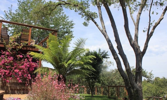 Sebastopol Villa | Heart of the Wine Country Estate 5BR , 14 beds