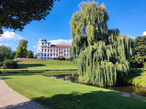 Celle Apartment | Hehlentor