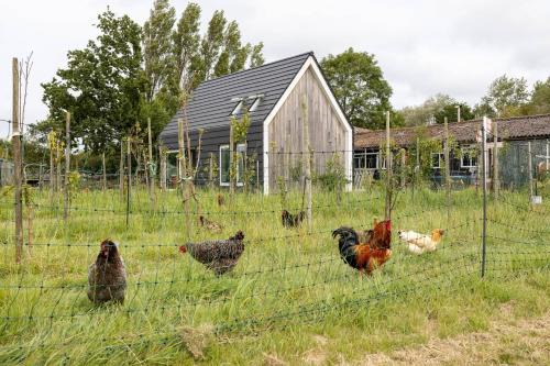Aagtekerke House | Hello Zeeland - Vakantiewoning Kalfhoeksepad 8
