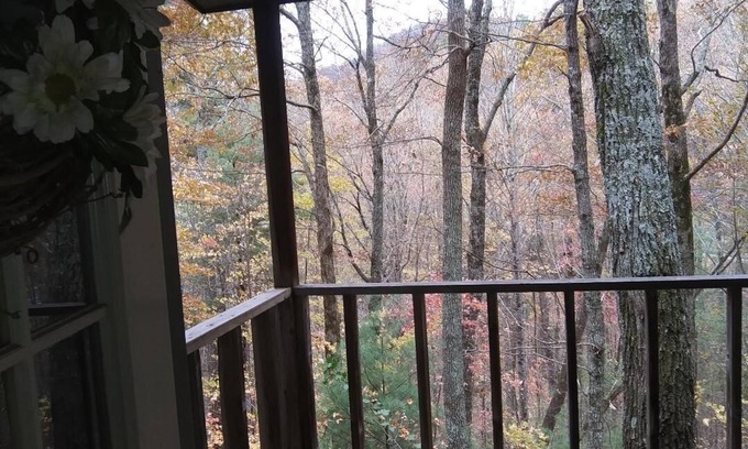 Blairsville Cabin | Helton Falls Lodge-Owl's Nest