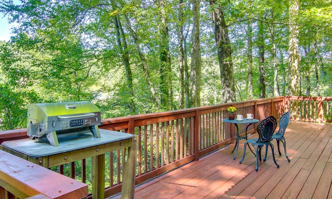 Hendersonville Cabin | Hendersonville Creekside Cabin: Near DuPont Forest